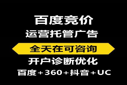SEM公司成功案例分享：搜索引擎优化的力量